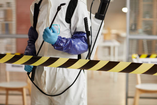 Professional Sewage Cleanup technician working in Bound Brook, NJ