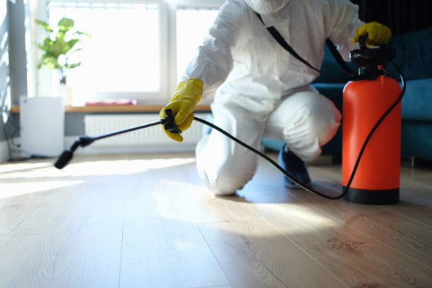 Reliable Sewage Cleanup contractor in Bound Brook, NJ by Trauma Clean Pros
